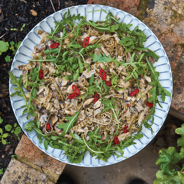 Organic Edamame & Mung Bean Fettuccine